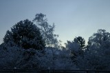 DSC_2589 * 3008 x 2000 * (2.65MB)